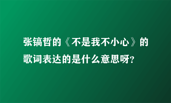 张镐哲的《不是我不小心》的歌词表达的是什么意思呀？