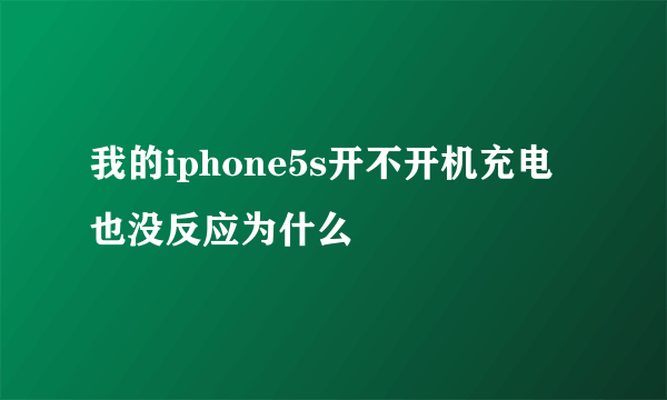 我的iphone5s开不开机充电也没反应为什么