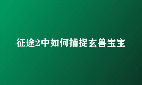 征途2中如何捕捉玄兽宝宝