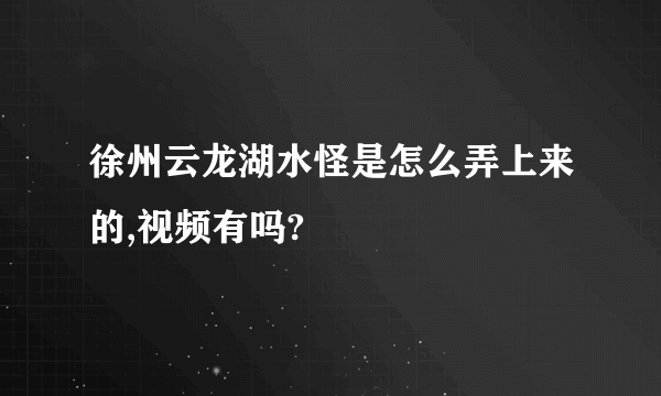 徐州云龙湖水怪是怎么弄上来的,视频有吗?