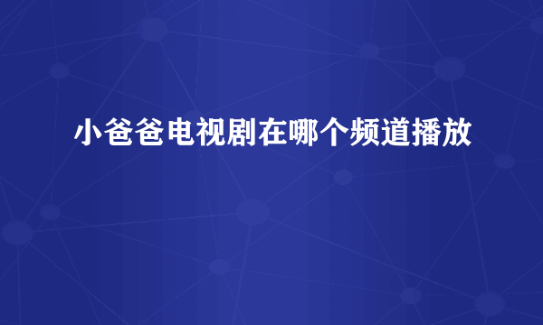 小爸爸电视剧在哪个频道播放