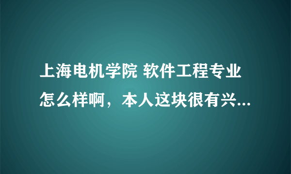 上海电机学院 软件工程专业怎么样啊，本人这块很有兴趣，分数正好够到这里