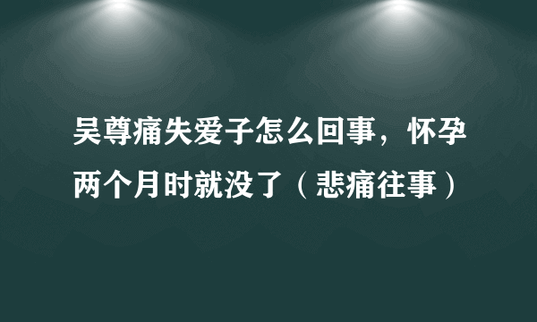 吴尊痛失爱子怎么回事，怀孕两个月时就没了（悲痛往事）