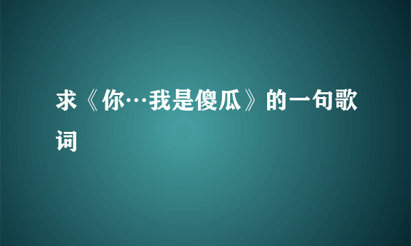 求《你…我是傻瓜》的一句歌词