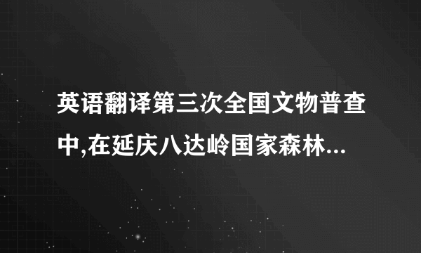 英语翻译第三次全国文物普查中,在延庆八达岭国家森林公园发现了两处石刻佛像,经北京多位文物专家的勘查,初步鉴定为元末明初时期所造.据介绍,这两处摩崖造像一直在林木野草的遮盖下,均有少部分风化损毁,下部有大面积苔藓,今年第三次全国文物普查中才被发现.专家初步确认属元末明初时期.专家称,北京地区的摩崖石刻造像存量很少,尤其是体积较大且保存完整的.元朝是政教合一,延庆是元大都通往漠北的重要通道,是文化传播的重要通道,所以在关沟有很多摩崖石刻.