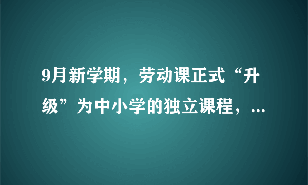 9月新学期，劳动课正式“升级”为中小学的独立课程，此举能解决哪些问题？