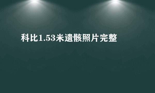 科比1.53米遗骸照片完整