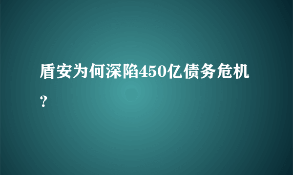 盾安为何深陷450亿债务危机？