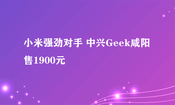 小米强劲对手 中兴Geek咸阳售1900元