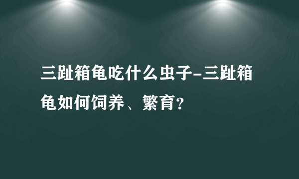 三趾箱龟吃什么虫子-三趾箱龟如何饲养、繁育？