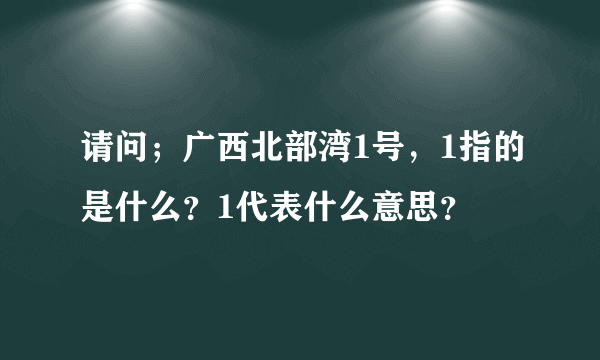 请问；广西北部湾1号，1指的是什么？1代表什么意思？