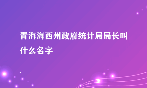 青海海西州政府统计局局长叫什么名字