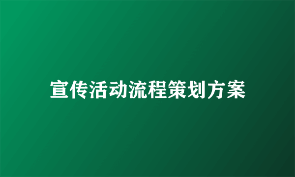 宣传活动流程策划方案