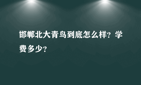 邯郸北大青鸟到底怎么样？学费多少？