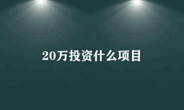 20万投资什么项目