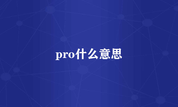 pro什么意思