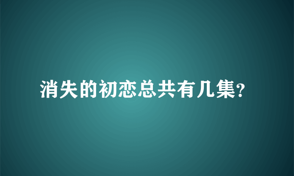 消失的初恋总共有几集？