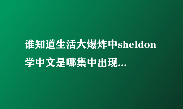 谁知道生活大爆炸中sheldon学中文是哪集中出现的还有他妹妹是哪集中出现的？