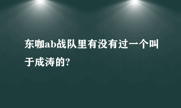 东咖ab战队里有没有过一个叫于成涛的?