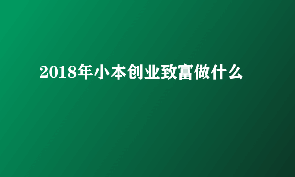 2018年小本创业致富做什么