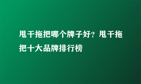 甩干拖把哪个牌子好？甩干拖把十大品牌排行榜