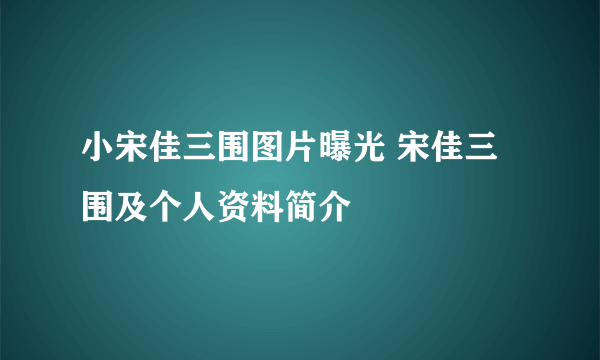 小宋佳三围图片曝光 宋佳三围及个人资料简介