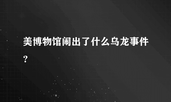 美博物馆闹出了什么乌龙事件？