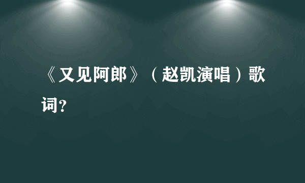 《又见阿郎》（赵凯演唱）歌词？