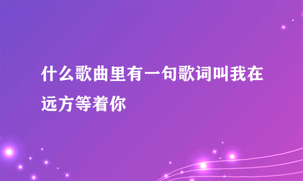 什么歌曲里有一句歌词叫我在远方等着你