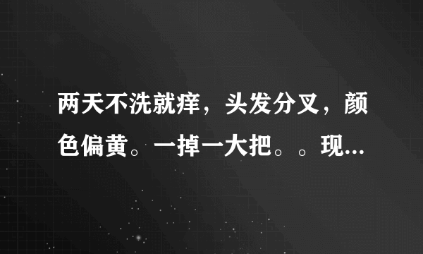 两天不洗就痒，头发分叉，颜色偏黄。一掉一大把。。现在只有...