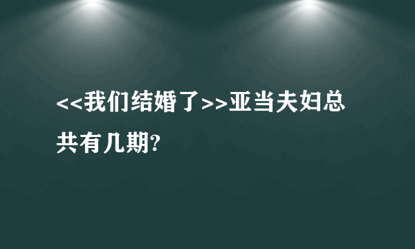 <<我们结婚了>>亚当夫妇总共有几期?