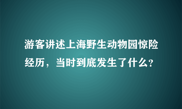 游客讲述上海野生动物园惊险经历，当时到底发生了什么？