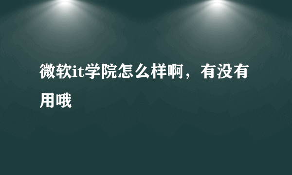 微软it学院怎么样啊，有没有用哦