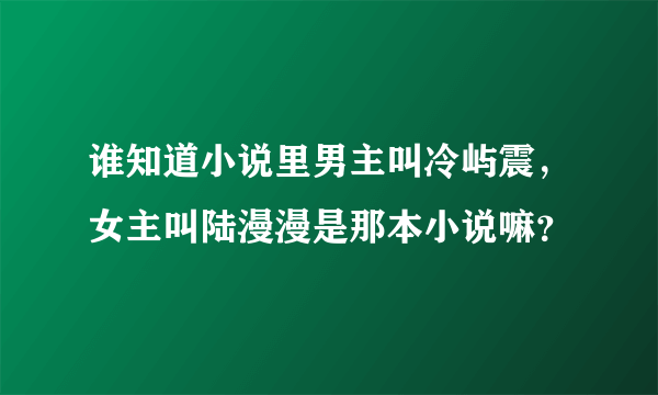 谁知道小说里男主叫冷屿震，女主叫陆漫漫是那本小说嘛？