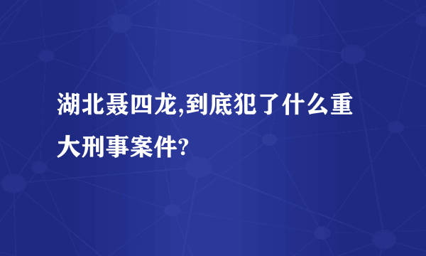 湖北聂四龙,到底犯了什么重大刑事案件?