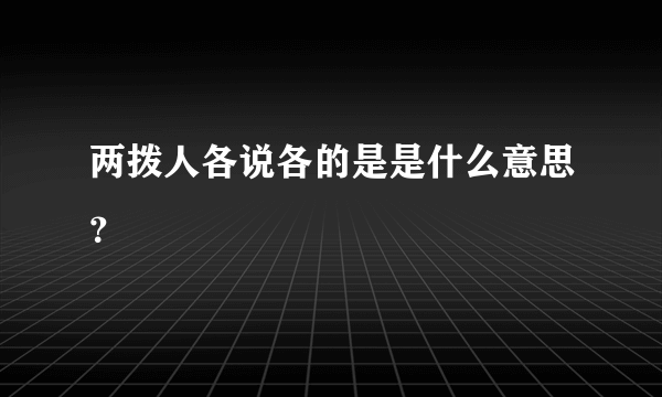 两拨人各说各的是是什么意思？