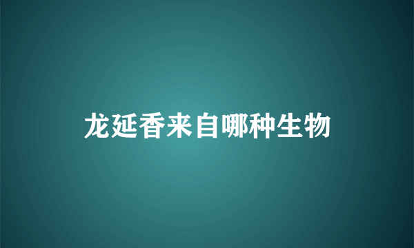 龙延香来自哪种生物