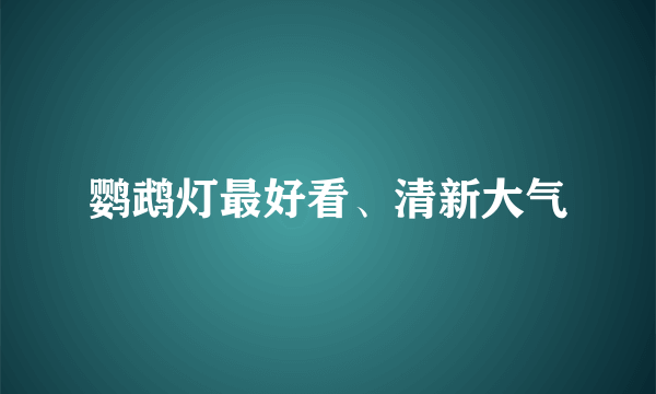 鹦鹉灯最好看、清新大气