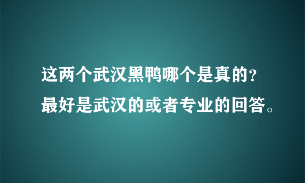 这两个武汉黑鸭哪个是真的？最好是武汉的或者专业的回答。