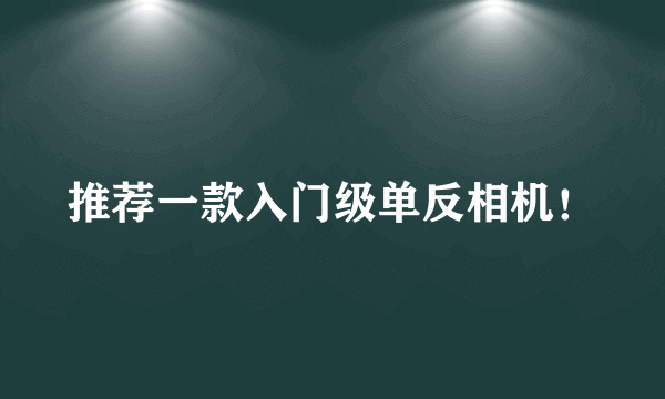 推荐一款入门级单反相机！