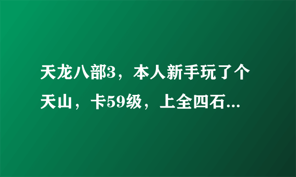 天龙八部3，本人新手玩了个天山，卡59级，上全四石头，全五雕文，怎么打宝石，主要是pK拿壮元，多少钱...