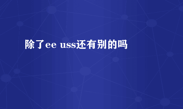 除了ee uss还有别的吗