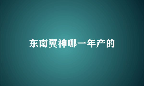 东南翼神哪一年产的