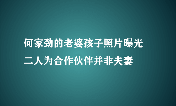 何家劲的老婆孩子照片曝光 二人为合作伙伴并非夫妻