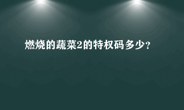 燃烧的蔬菜2的特权码多少？