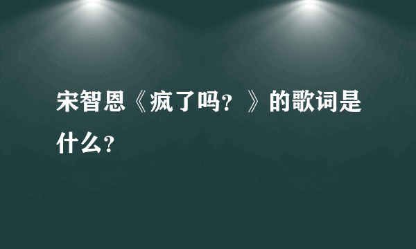 宋智恩《疯了吗？》的歌词是什么？