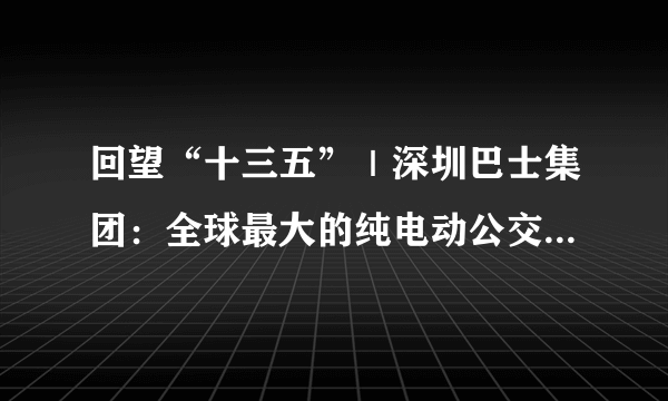 回望“十三五”｜深圳巴士集团：全球最大的纯电动公交运营企业