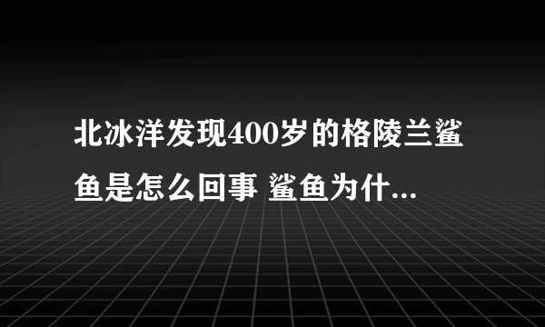 北冰洋发现400岁的格陵兰鲨鱼是怎么回事 鲨鱼为什么那么长寿