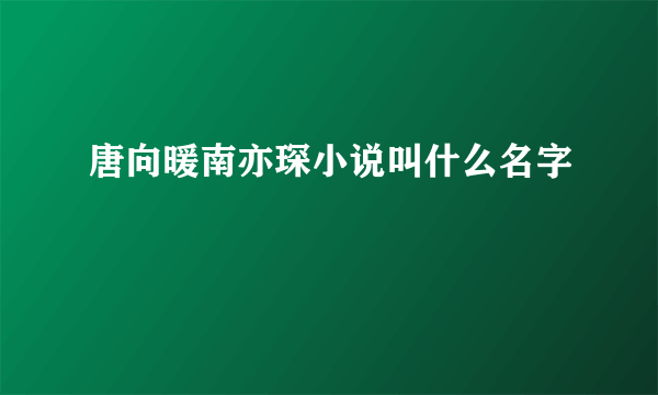 唐向暖南亦琛小说叫什么名字