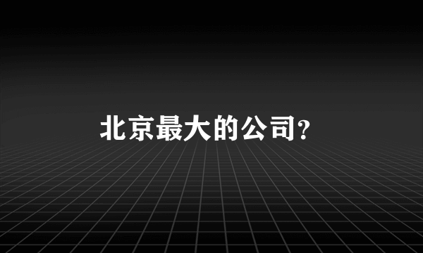 北京最大的公司？